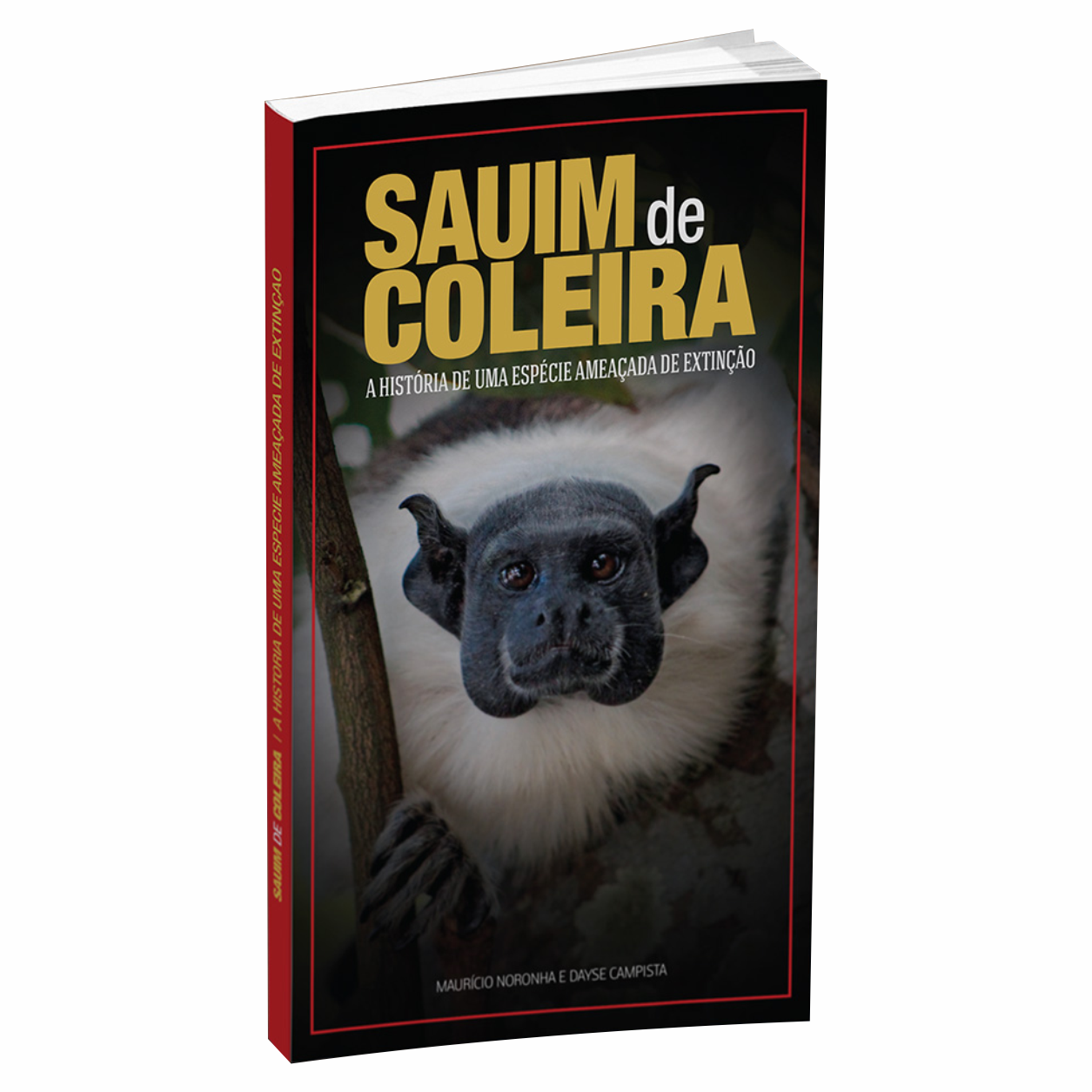 SAUIM-DE-COLEIRA: A história de uma espécie ameaçada de extinção