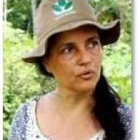 Elisa Wandelli